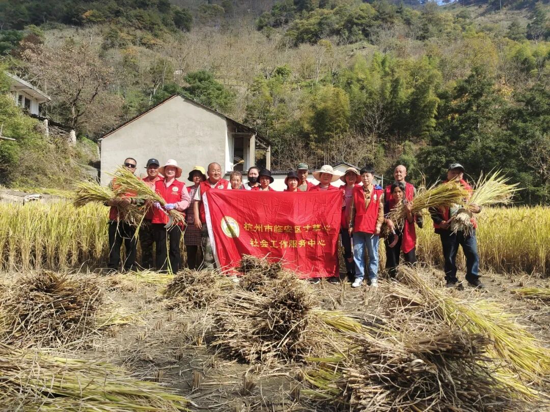 寸草心社工与志愿者参与助农秋收合影